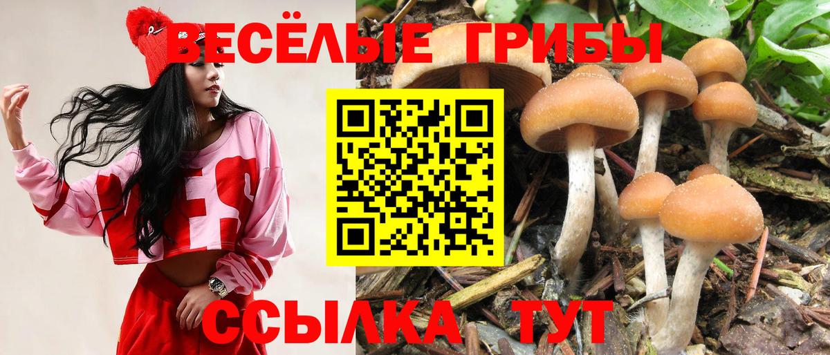 Галлюциногенные грибы GOLDEN TEACHER Реж