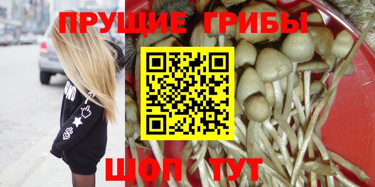 купить наркоту  Галлюциногенные грибы GOLDEN TEACHER  Вход с VPN  Реж 